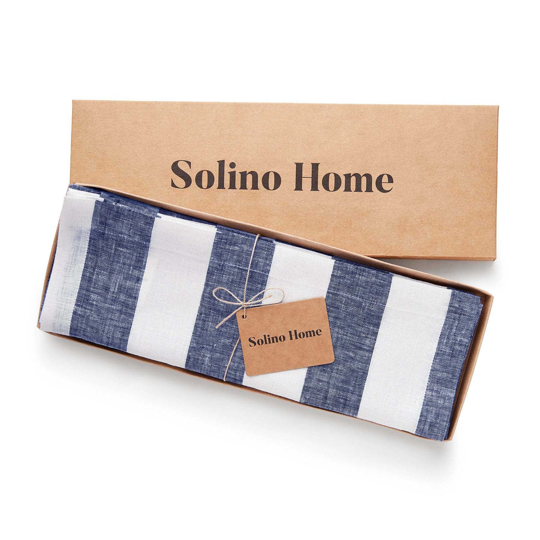 Premium Cabana Stripe Cotton Placemats Set of 4 - Waterproof & Washable Table Mats for Dining, Kitchen, and Outdoor Patio Decor