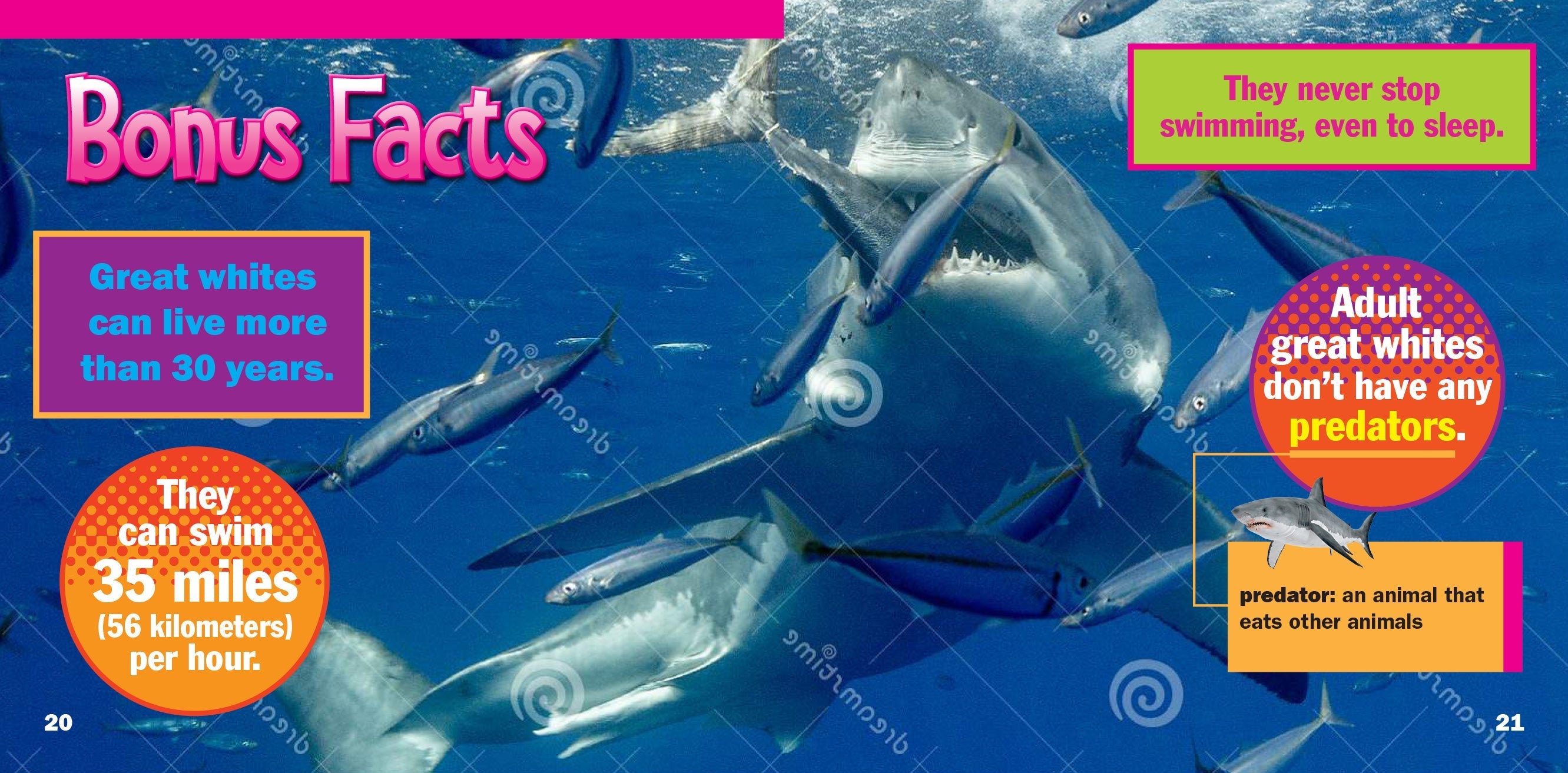 Great White Sharks - Realistic Shark Figurine for Collectors & Ocean Lovers - Perfect for Home Decor, Educational Display & Marine Theme Parties