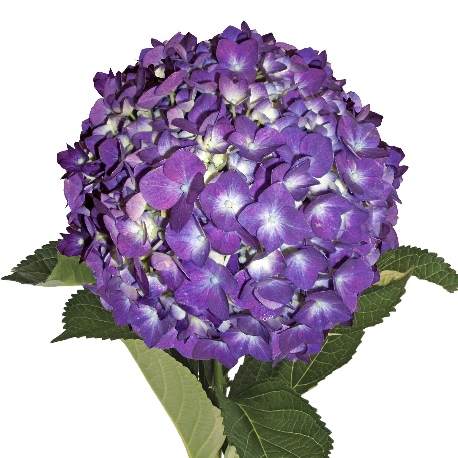 Premium Artificial Purple Hydrangea Flowers - 15 Stems for Home Decor, Wedding Centerpieces & Floral Arrangements