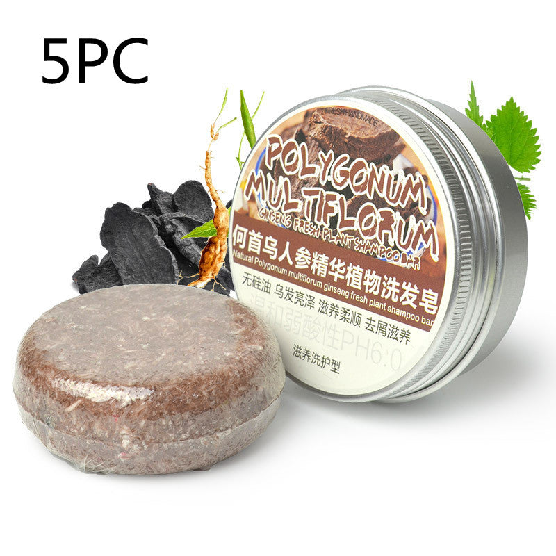 Polygonum 3PC