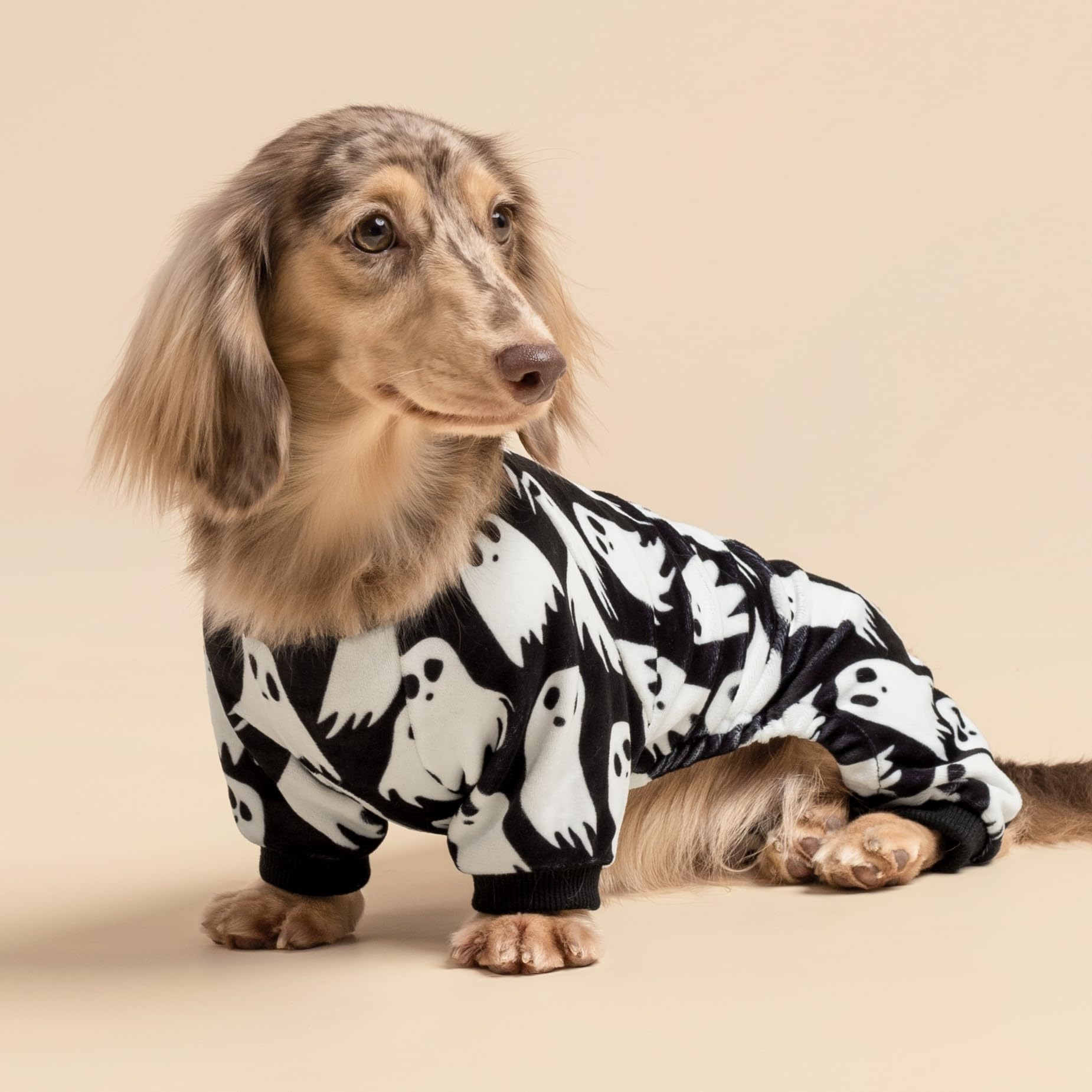 Fitwarm Halloween Ghost Dog Pajamas - Funny Fleece Dog Onesie Costume with Feet for Small Dogs (Black/White, XL) | Cute Pet Apparel for Halloween Parties & Cozy Nights