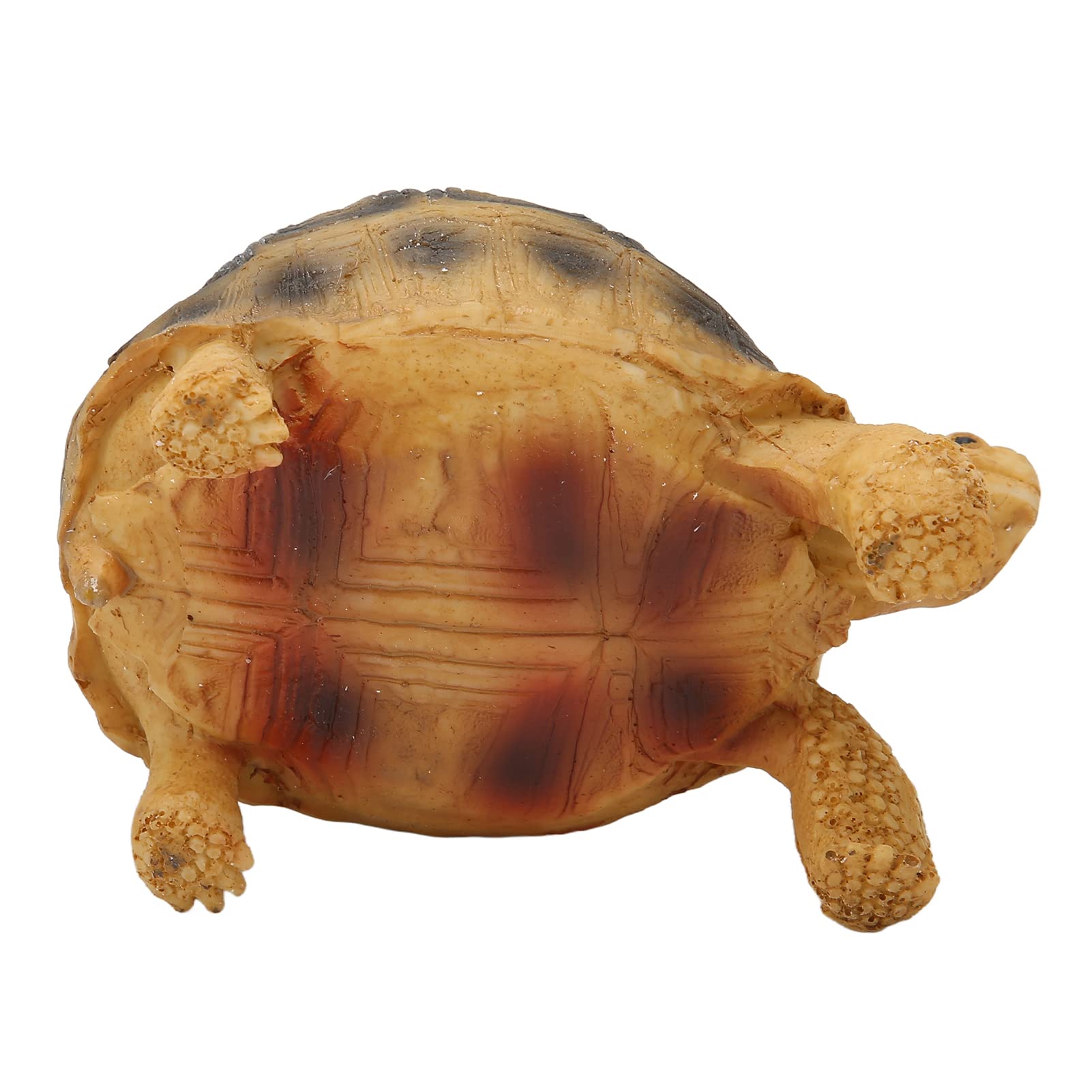 Vivid Resin Tortoise Decor - Handcrafted Turtle Ornament for Home, Office, Shelf & Desk Display - Perfect for Living Room, Bedroom & Gift Giving