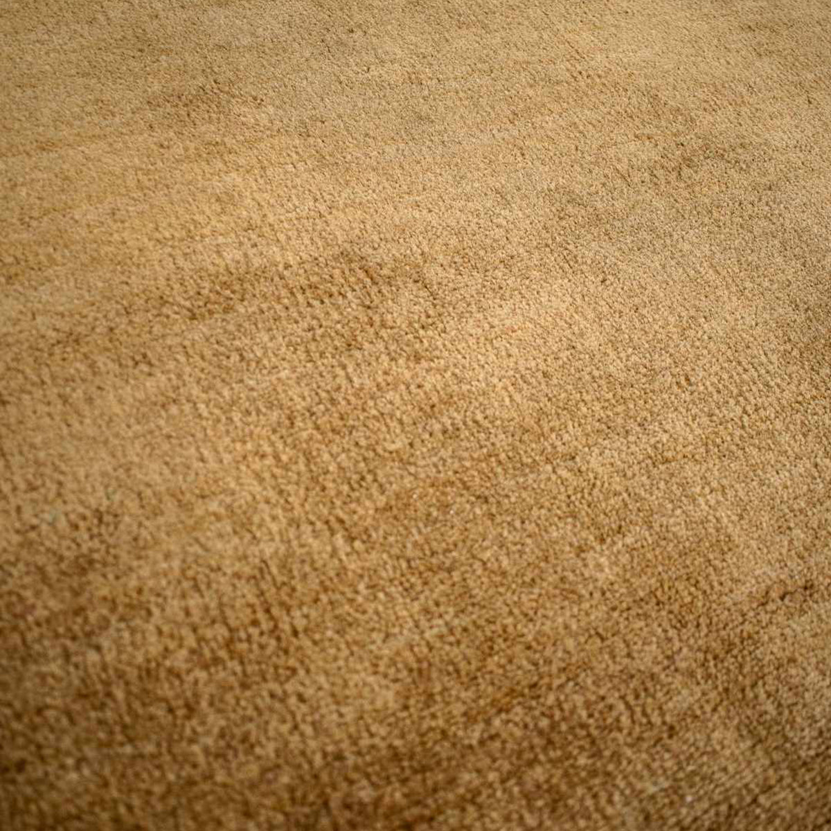 Adore Rug Collection - Soft & Stylish Area Rugs for Living Room, Bedroom & Home Decor | Machine Washable & Non-Slip Backing
