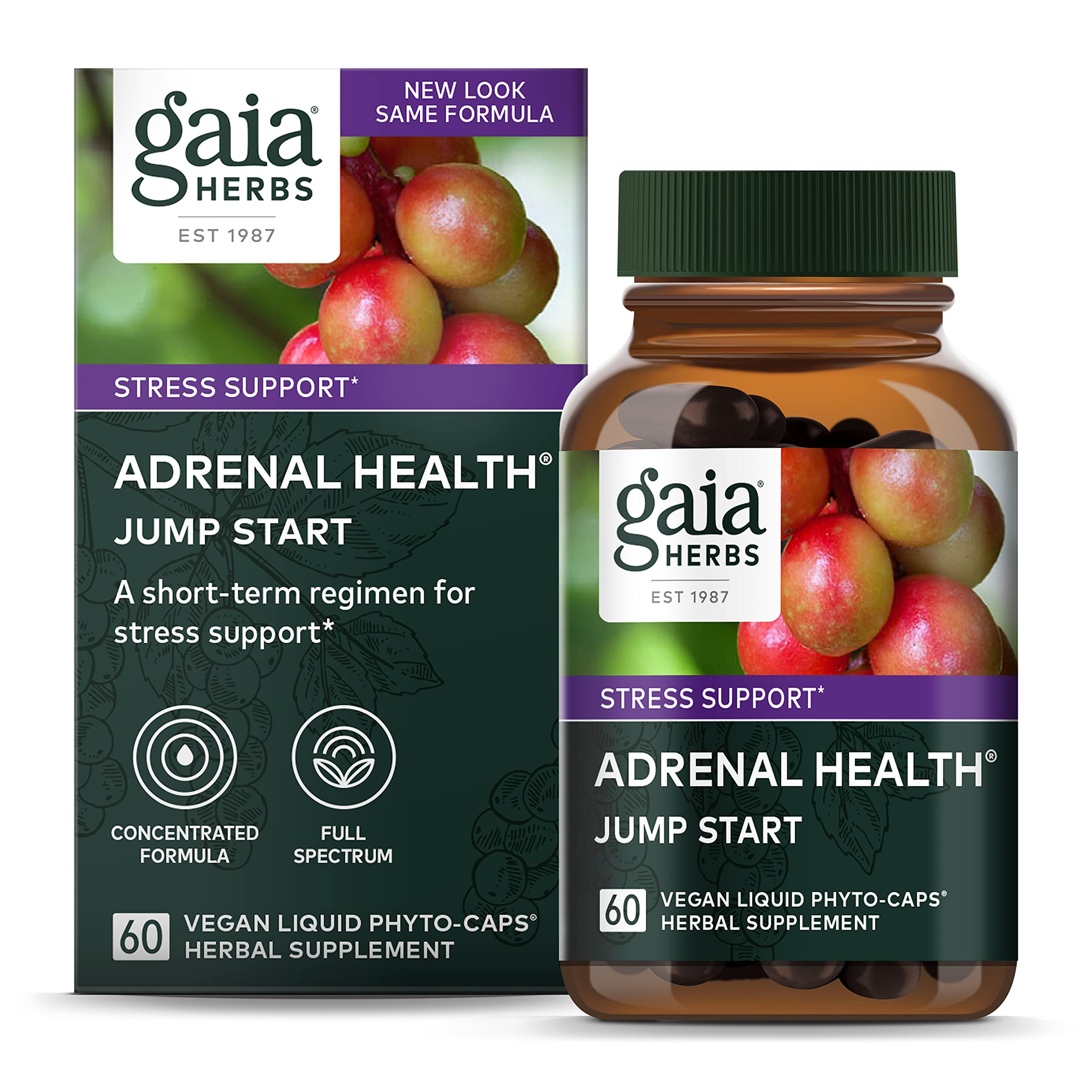 Gaia Herbs Jump Start - Sustain Healthy Energy & Reduce Stress with Cordyceps, Schisandra, Rhodiola & Licorice - 60 Vegan Liquid Phyto-Capsules (30-Day Supply) - Perfect for Busy Professionals & Students for Natural Energy Support