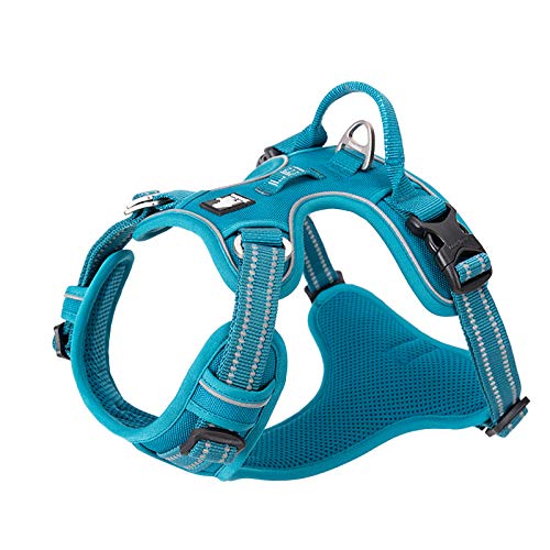 WINHYEPET No Pull Dog Harness - Reflective Adjustable Soft Mesh Vest for Small Medium Large Dogs - Padded Comfort for Running, Walking & Training - Easy Control Pet Harness (Blue, Medium) - Perfect for Outdoor Adventures, Jogging & Daily Walks