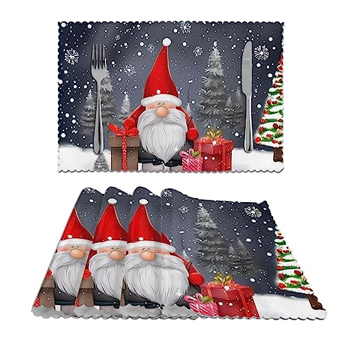 Winter Christmas Gnome Snowflakes