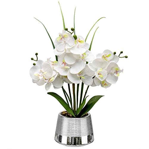 White Orchid and L Silver Pot