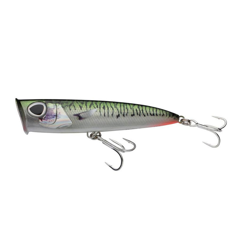 Berkley Dex Mullet Popper Fishing Lure - Topwater Saltwater Bass Lure for Inshore & Offshore Fishing - Perfect for Mullet, Redfish, and Speckled Trout