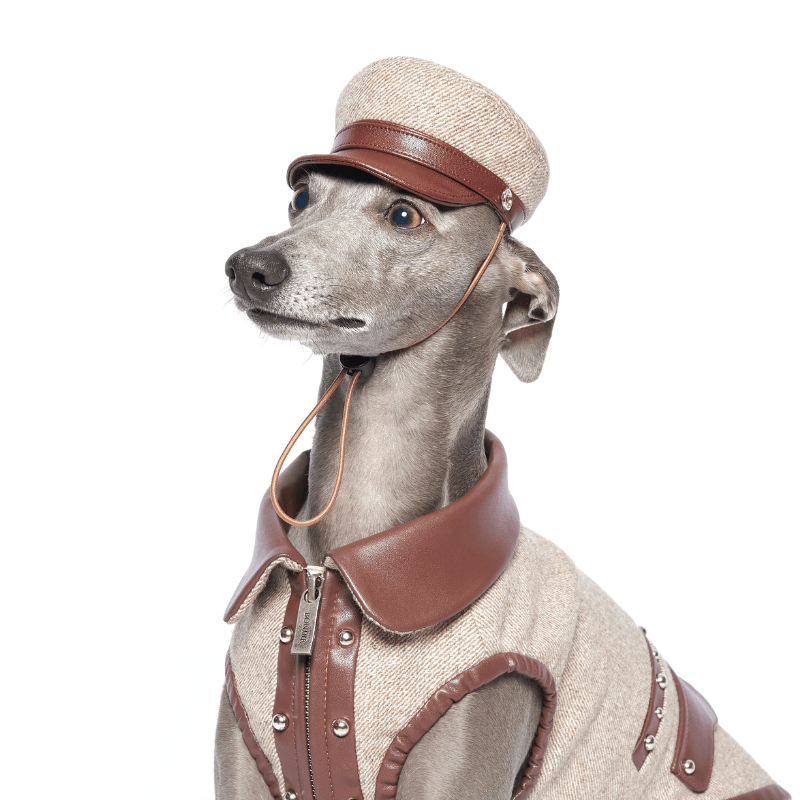 Bordeaux Dog Hat - Stylish and Comfortable Pet Accessory for Small & Medium Dogs - Perfect for Outdoor Walks, Photos, and Special Occasions