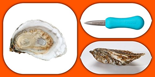 50 Fresh Oysters with Free Shucking Knife - Premium Live Oysters for Cooking, Grilling & Seafood Lovers