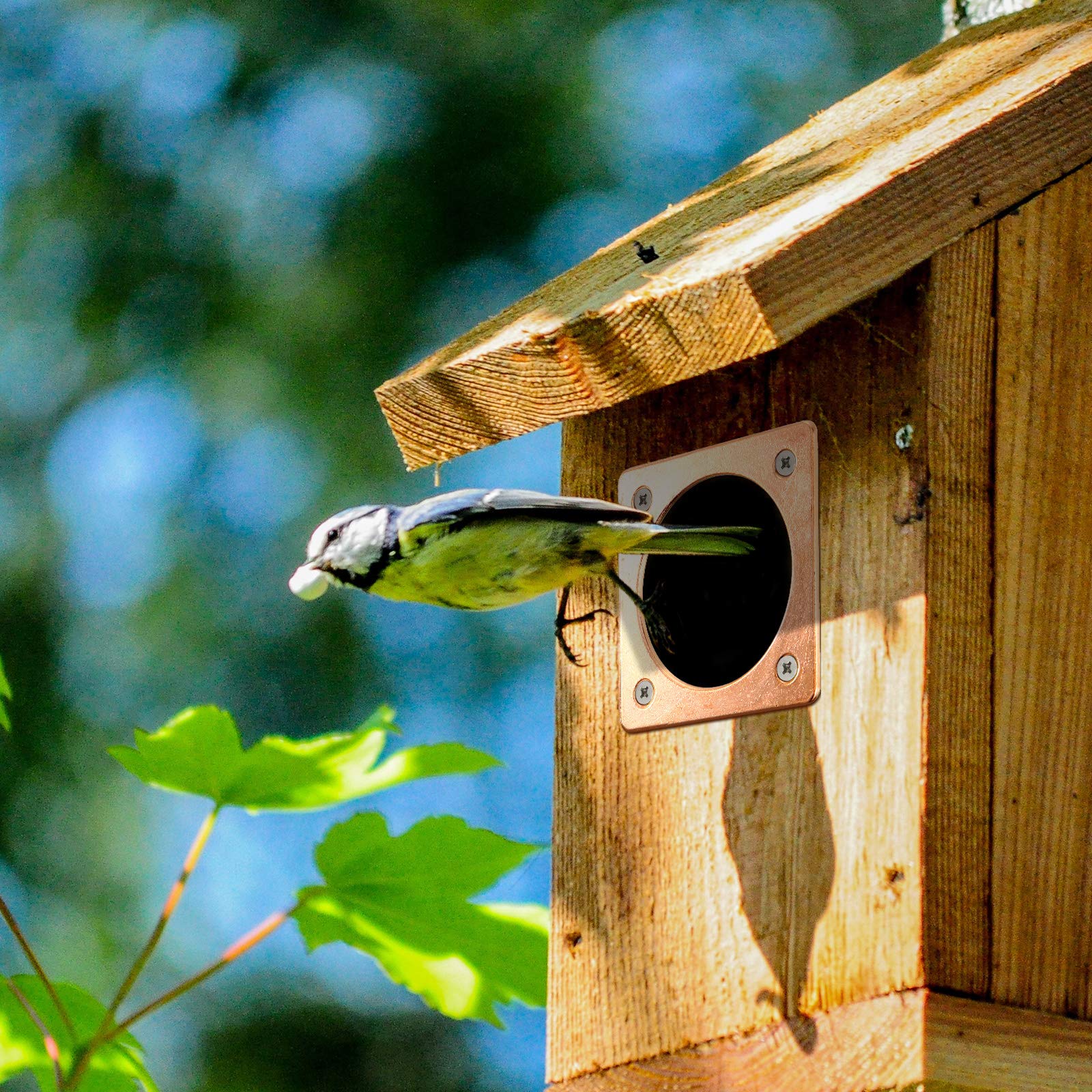 Copper Metal Portal Bird House Guard - 1.5 Inch Opening for Eastern Bluebird Houses - Durable Weatherproof Entry Protector for Bird Nesting Boxes (Perfect for Backyard Birdwatching & Garden Decor)