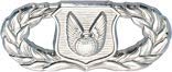 MEDALS OF AMERICA EST. 1976 - Authentic US Air Force Operations Support Badge - Military Collectible & Gift for Veterans - Perfect for Display Cases, Shadow Boxes & Memorabilia Collections