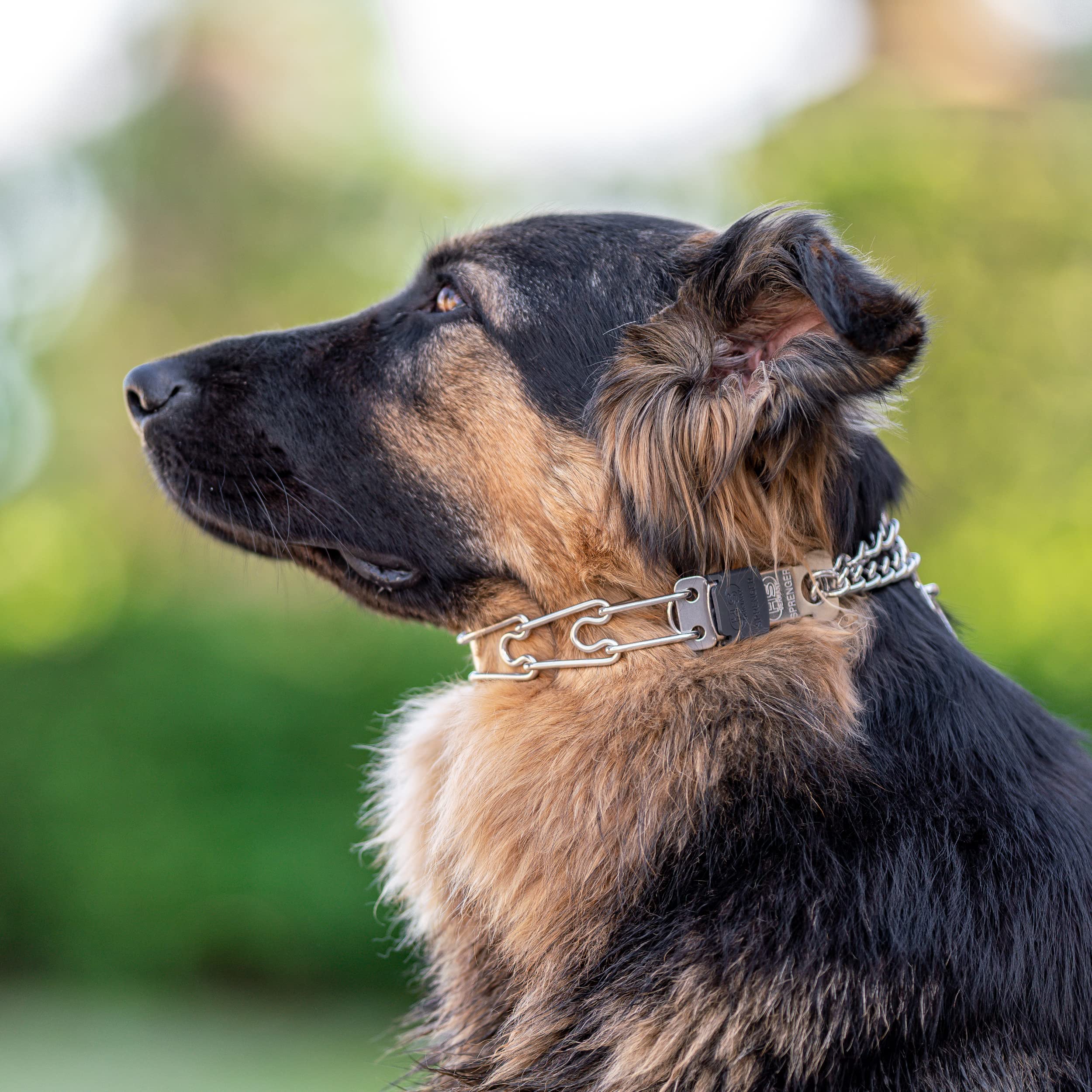 Premium Herm Sprenger Stainless Steel Dog Training Collar with Quick-Release ClicLock Buckle - Adjustable for Small, Medium & Large Dogs (23in x 3.2mm) | Durable German-Made Pet Accessory for Daily Walks, Obedience Training & Outdoor Adventures