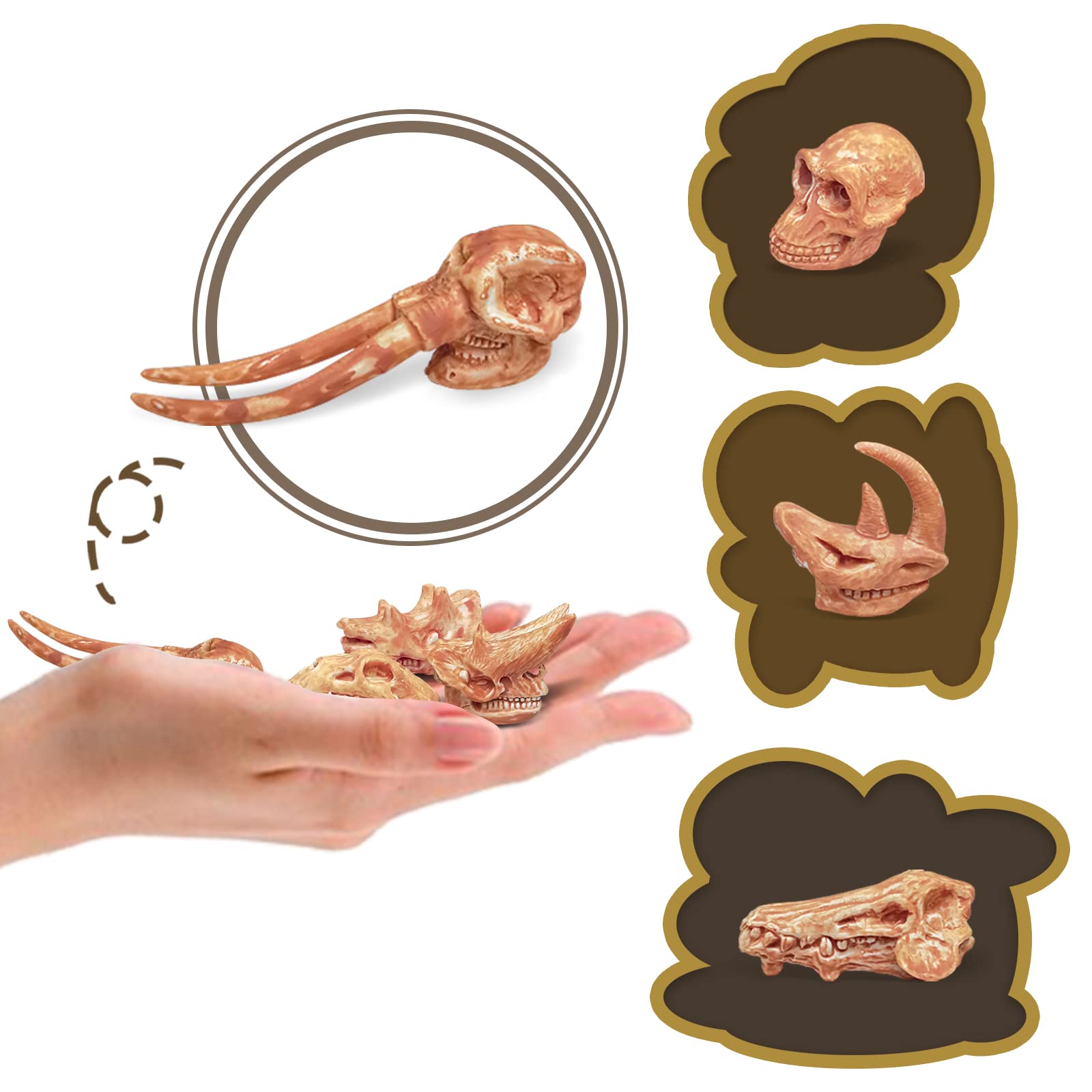 LC JoyCre Realistic Mini Prehistoric Animal Bones Set - Dinosaur Fossil Dig Kit for Kids, STEM Educational Sandbox Toys for Paleontology Learning | Perfect for Birthday Gifts, Classroom Activities & Science Projects