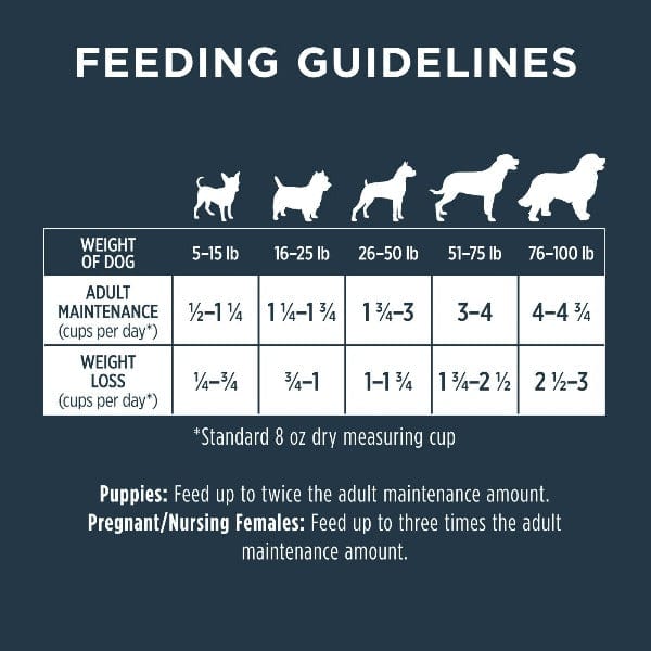 Instinct Raw Boost Whole Grain Real Lamb & Oatmeal Recipe Dry Dog Food - High Protein Grain-Inclusive Kibble for Adult Dogs - Perfect for Active Pets & Training Rewards