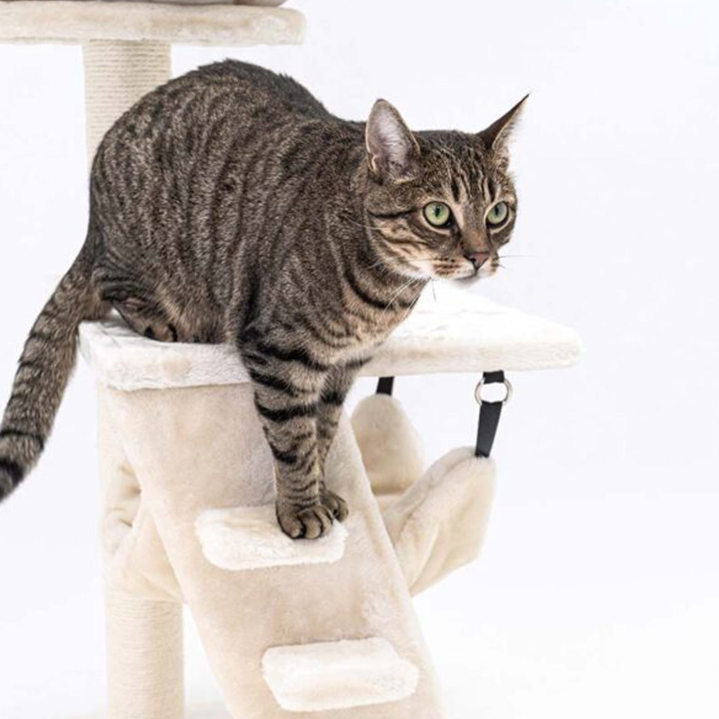 Little Rebels Seattle 89cm Cat Tree with Scratching Posts & Perches - Premium Cat Climbing Tower for Indoor Cats - Perfect for Small Spaces & Playtime