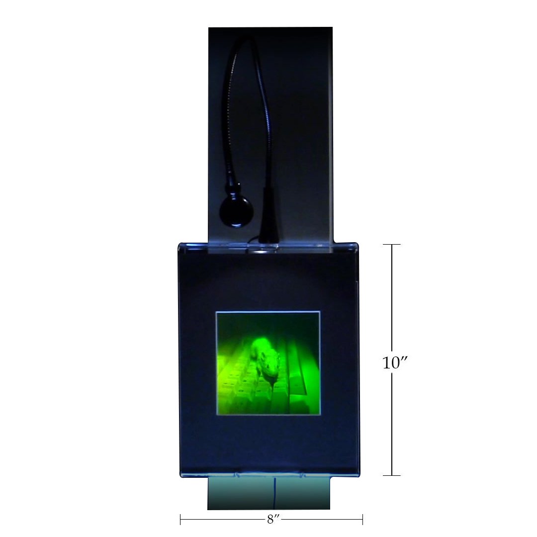 3D Holographic Mouse Multi-Channel Wall Art Display with LED Lights - Collectible Photopolymer Film for Home Decor, Office & Gaming Room Aesthetic Enhancement
