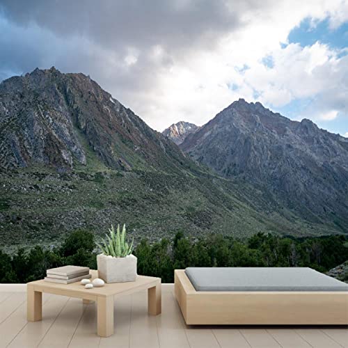 Nature Landscape 3D Wall Murals - PVC Self-Adhesive Peel and Stick Wallpaper for Bedroom & Living Room Decor - 110