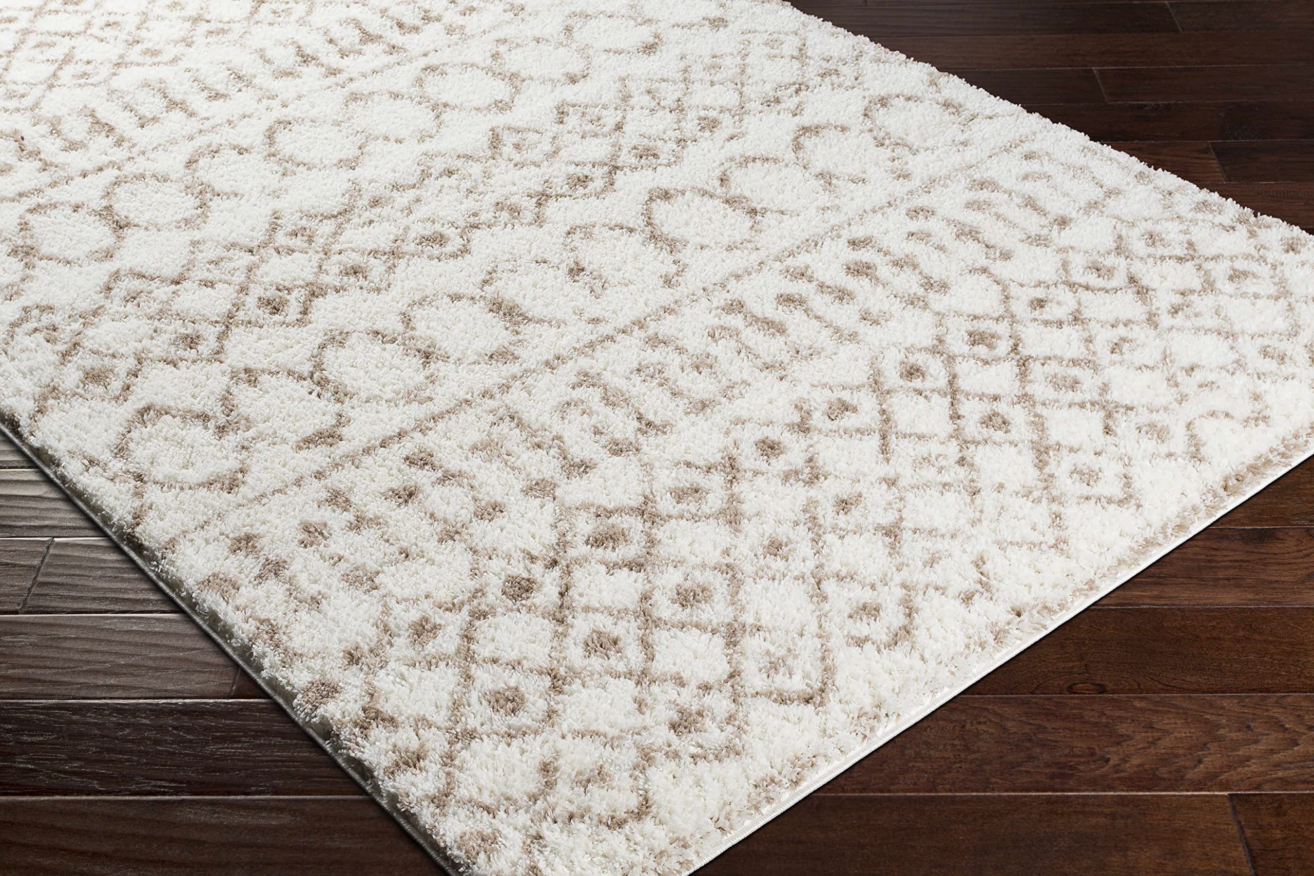 Luxury Hauteloom Collingwood Plush Pile Area Rug - 6'7