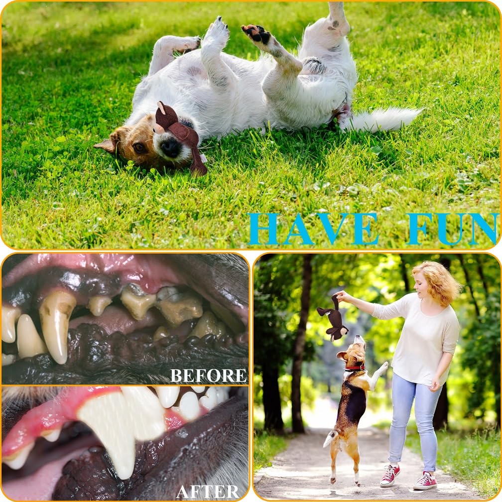 3-Layer Stuffed Squeaky Dog Toys for Small, Medium & Large Dogs - Soft Plush Chew Toys for Puppies & Adult Dogs - Bear Design for Teething & Playtime - Perfect for Indoor & Outdoor Fun