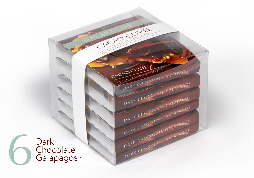 Premium Dark Chocolate Galapagos Turtles - 6-Piece Gourmet Gift Box | Perfect for Holidays, Birthdays & Corporate Gifts