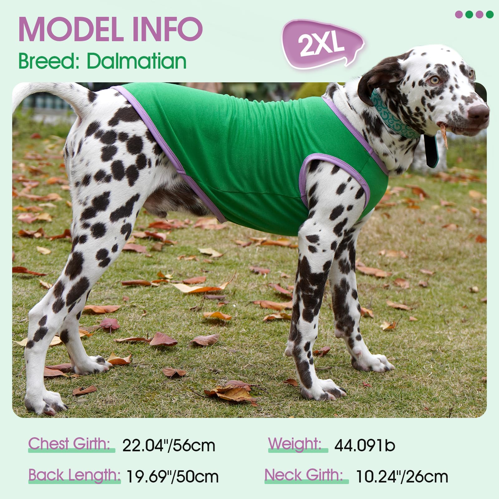 ROZKITCH 2 Pack Soft Cotton Dog T-Shirts - Breathable Sleeveless Tank Top Vest for Small Dogs & Puppies - Perfect for Summer Walks, Outdoor Adventures & Pet Fashion
