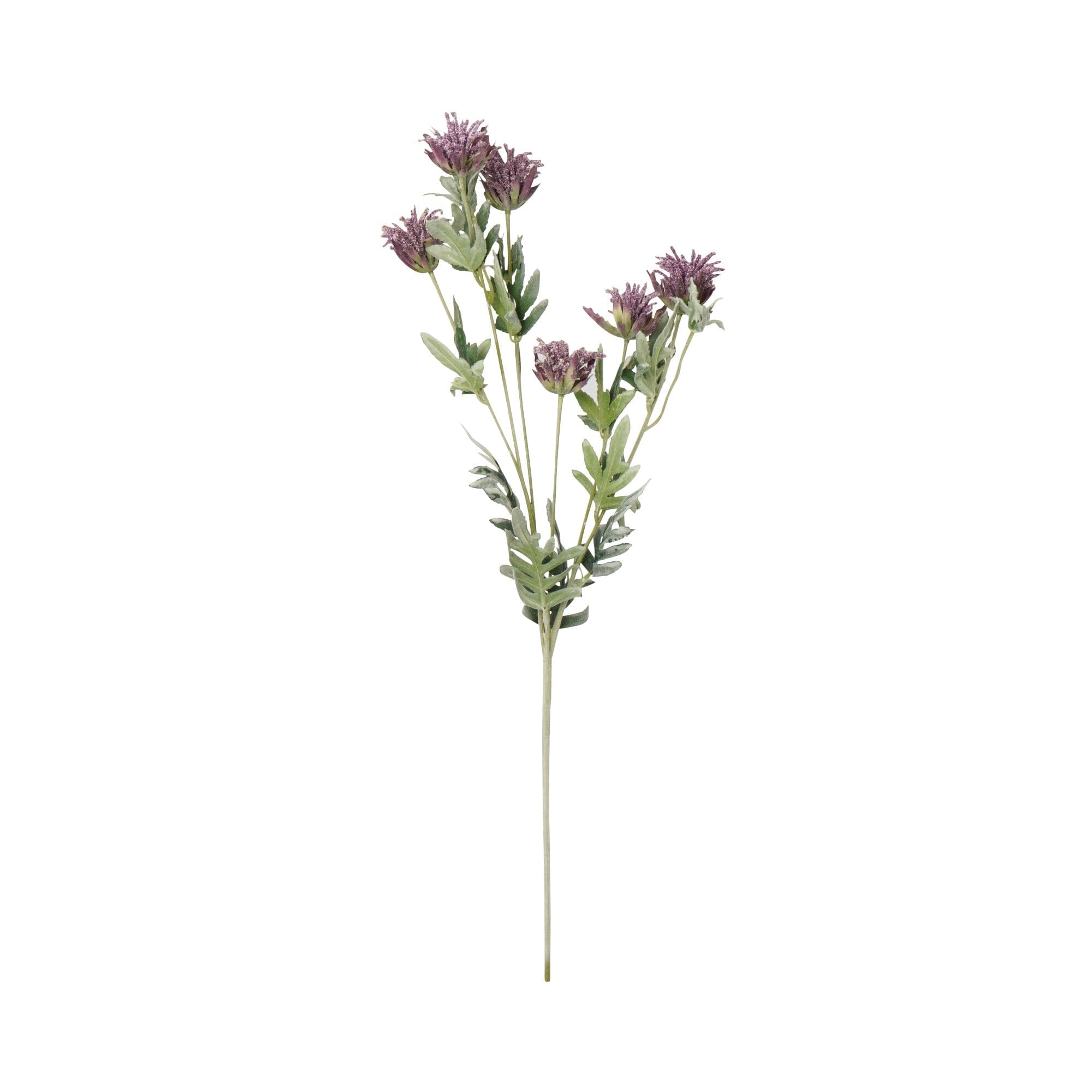 Purple Art Flower Thistle - Elegant Home Decor & Wedding Bouquet for Special Occasions