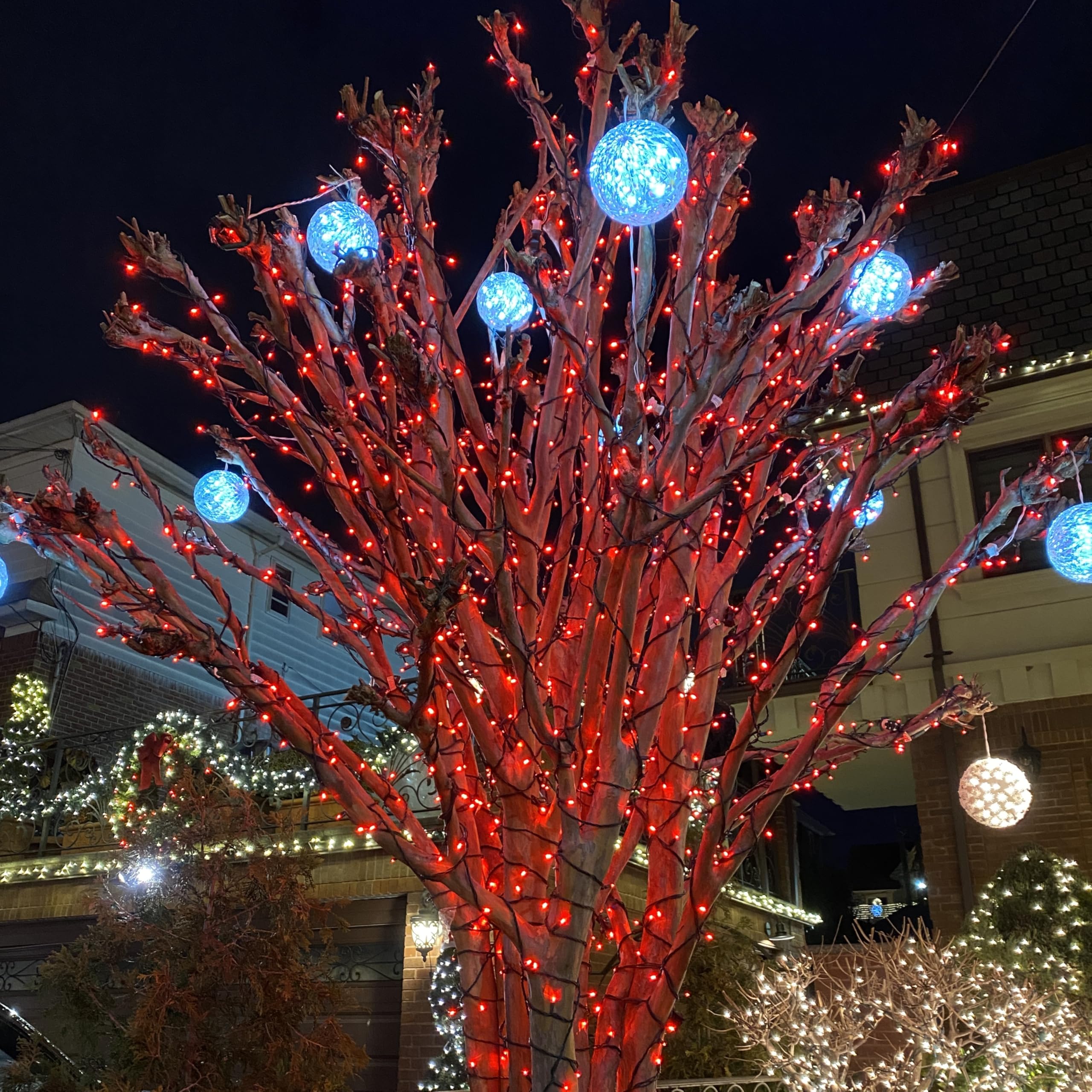 200 LED Red Christmas Lights Outdoor Waterproof - 66ft Green Wire String Lights for Tree & Home Decor