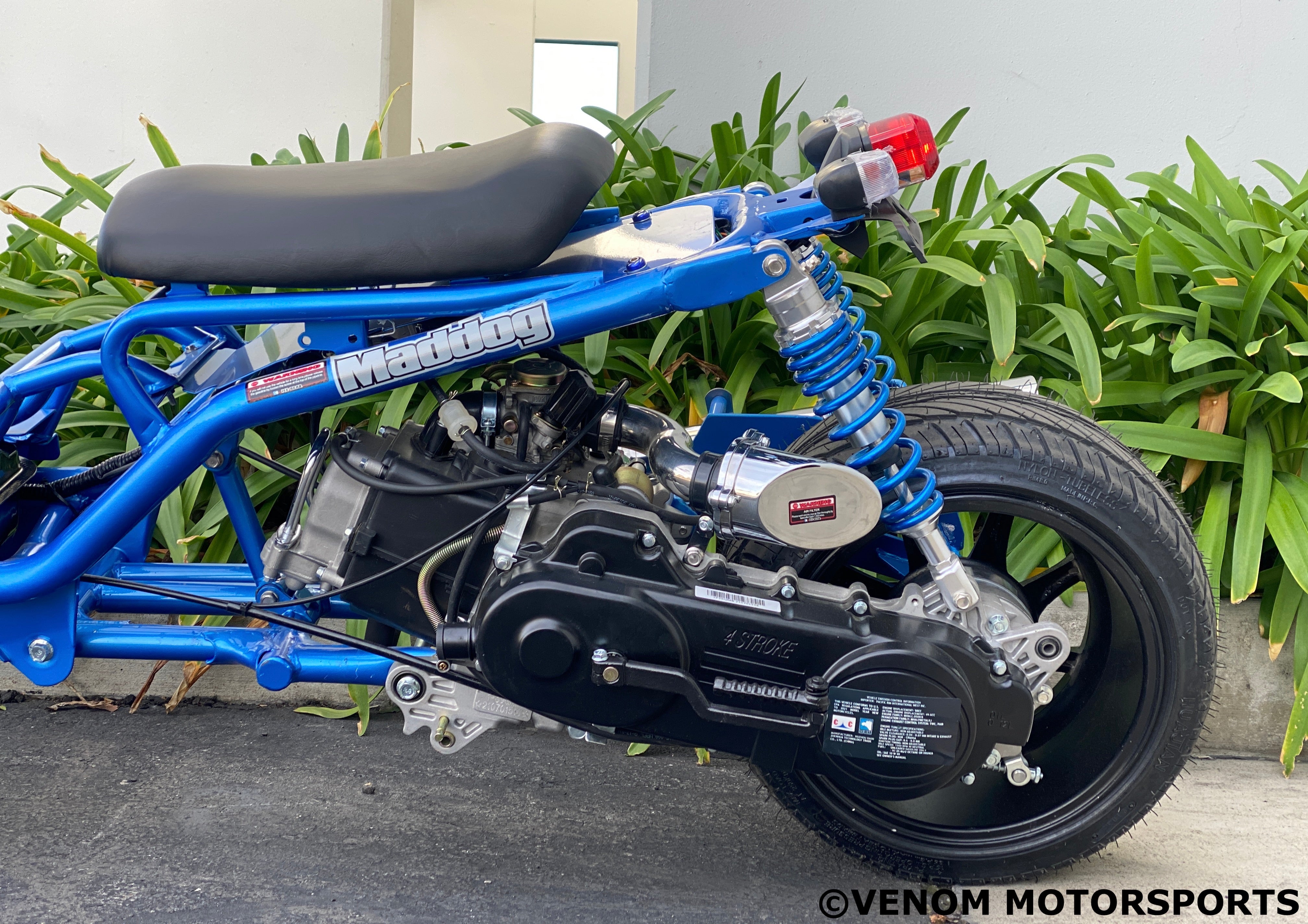 50cc Maddog Scooter - 1st Generation Automatic Transmission Moped for Adults | Commuting, Campus Riding & Urban Transportation
