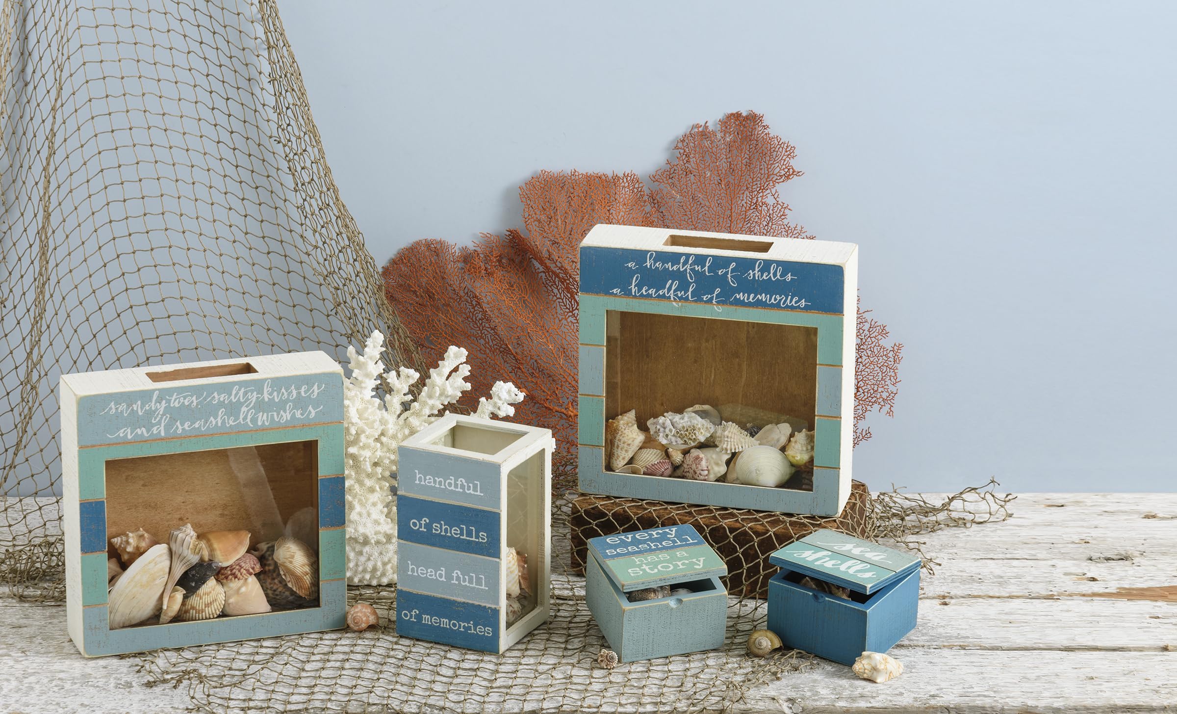 Primitives by Kathy Seashell Holder - Coastal Beach Decor, Glass Display Jar for Shells, Nautical Treasure Box - Perfect for Bathroom, Bedroom & Beach House Decor