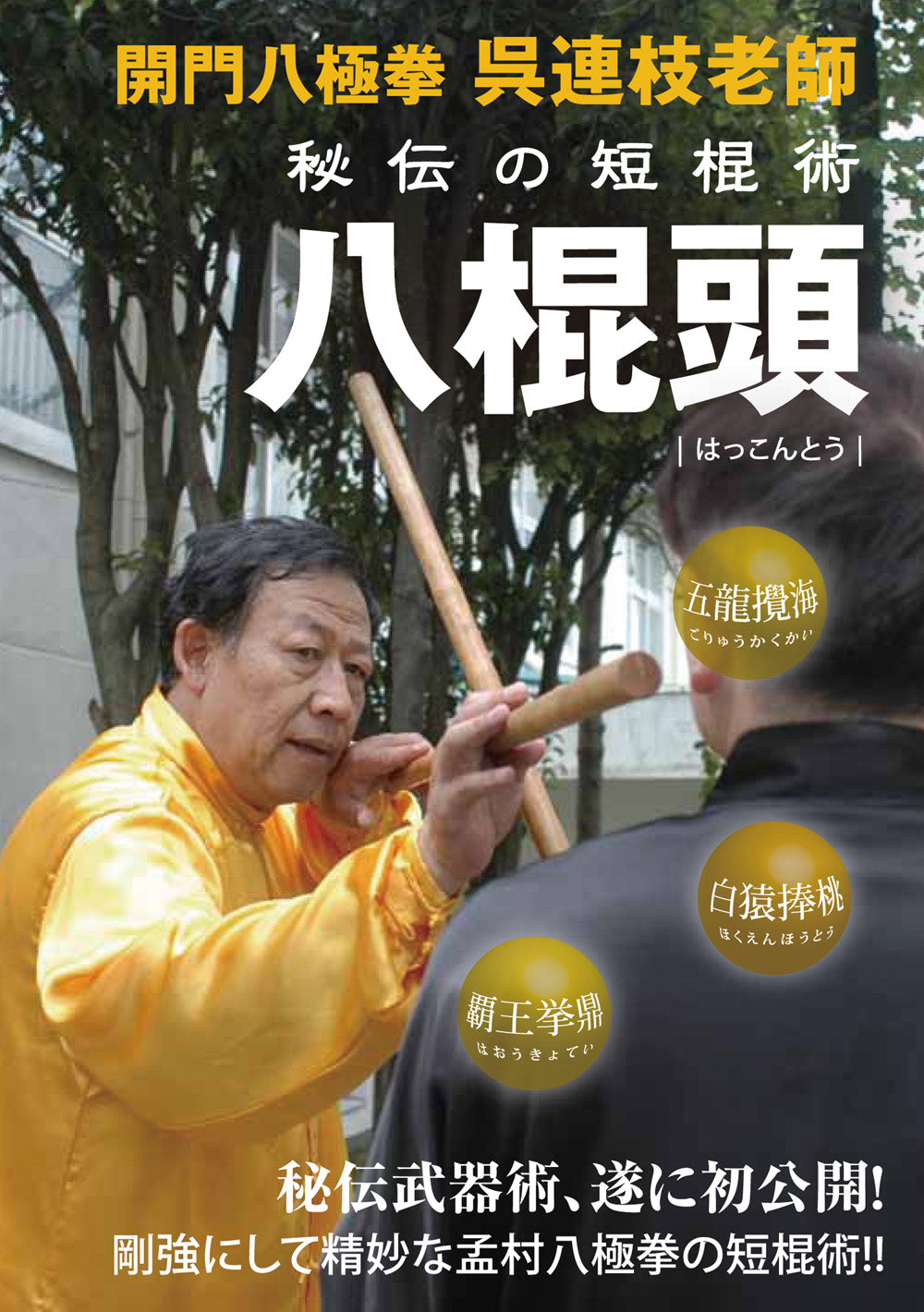 Baijiquan Ba Gun Too (Hakonto) Training DVD by Master Wu Lianzhi - Learn Traditional Chinese Martial Arts for Self-Defense & Fitness