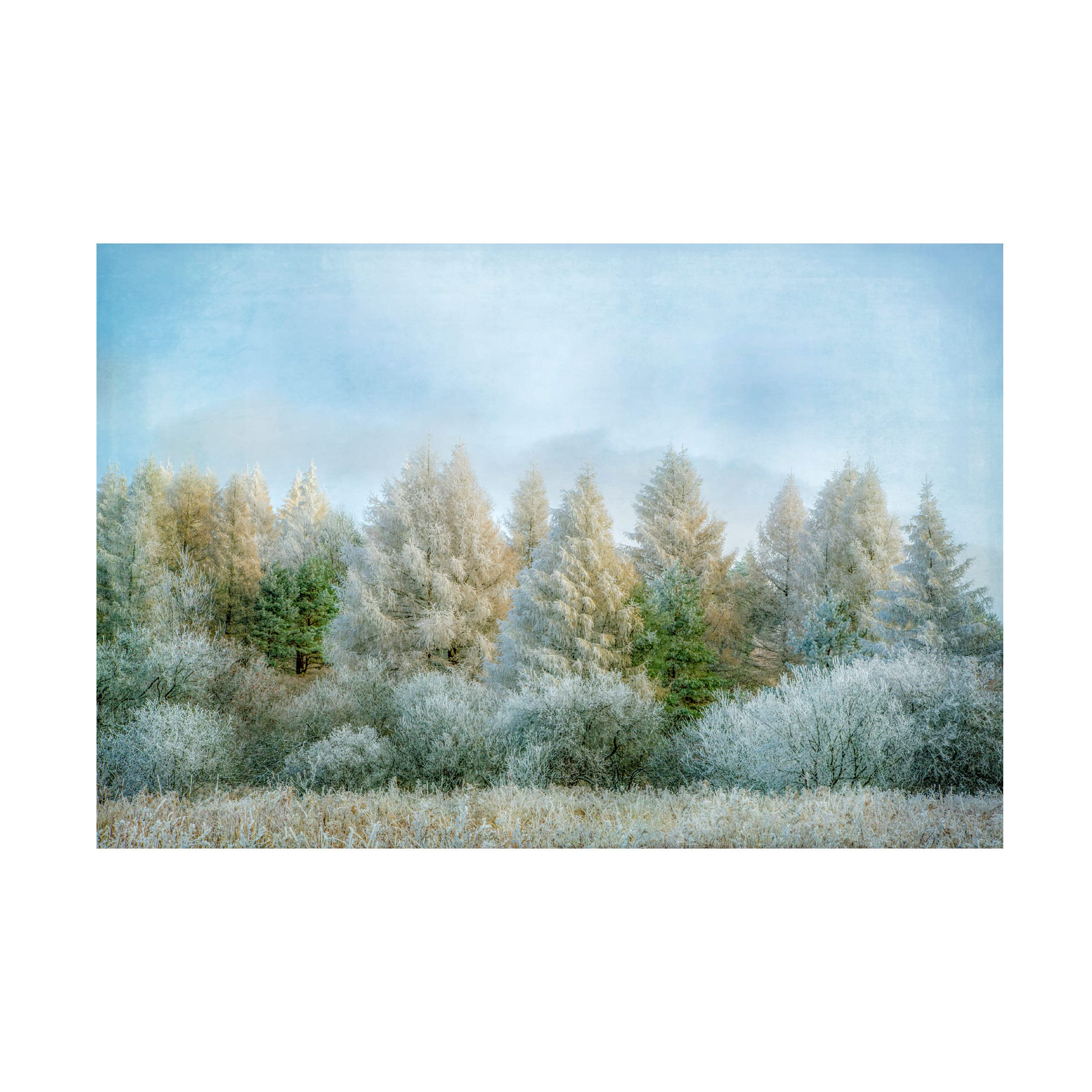 Trademark Fine Art 'Winter Wonderland' Canvas Art by Brooke T Ryan - Winter Landscape Wall Decor for Living Room, Bedroom & Office - Perfect for Holiday & Seasonal Home Decoration