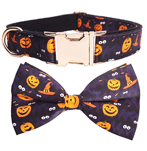 Pumpkin Bow