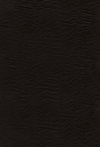 The Voice Bible: Step into the Story of Scripture - Black Bonded Leather Edition | Perfect for Daily Devotion, Bible Study & Gift Giving