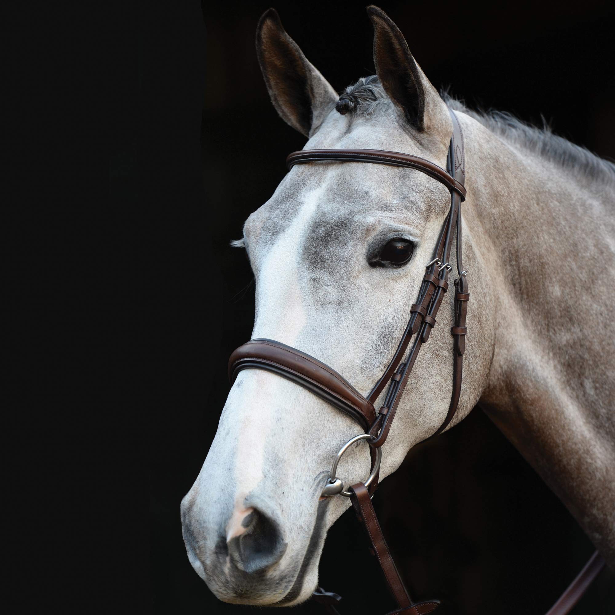 Brown Mono Crown Padded Raised Cavesson Bridle - Full Size for Equestrian Riding