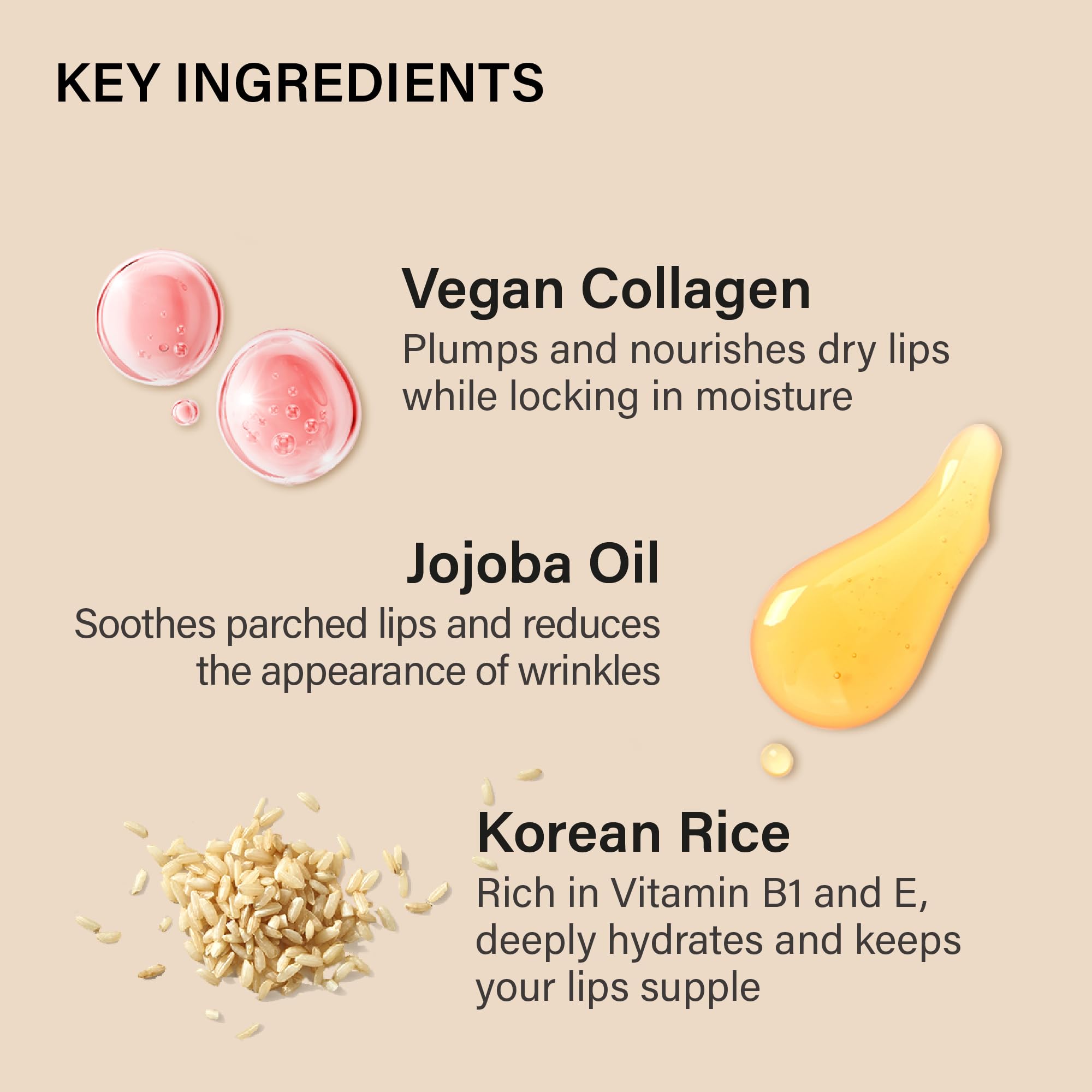 Vegan Lip Balm for Dry Lips - Natural & Moisturizing Lip Treatment with Pomelo Extract - Perfect for Winter, Chapped Lips & Daily Hydration