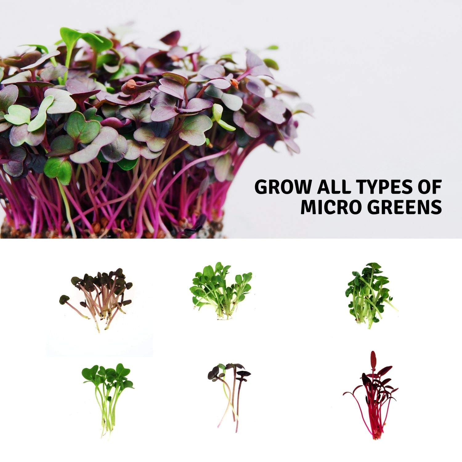 Organic Micro-Mat Minis Hydroponic Grow Pads for Wheatgrass & Microgreens - 4