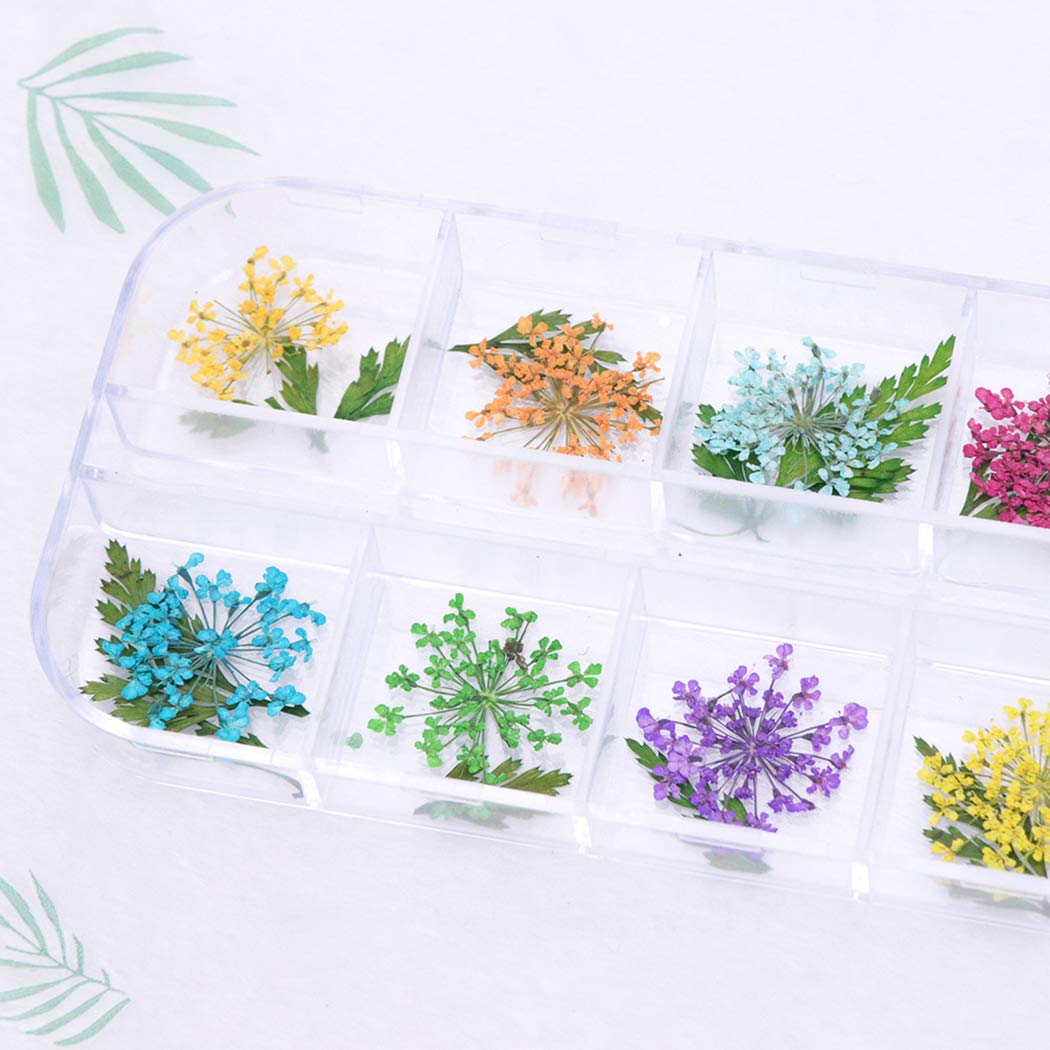 SOWUNO Dried Flower Nail Art Stones - 3D Nail Decorations & Jewel Accessories for DIY Manicure - Perfect for Wedding, Party, and Salon Nail Art Designs