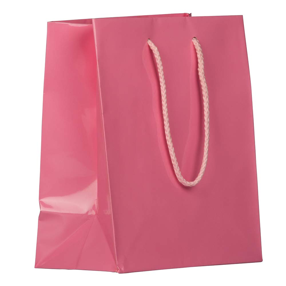 JAM Paper Glossy Gift Bags with Rope Handles - Medium Size 8