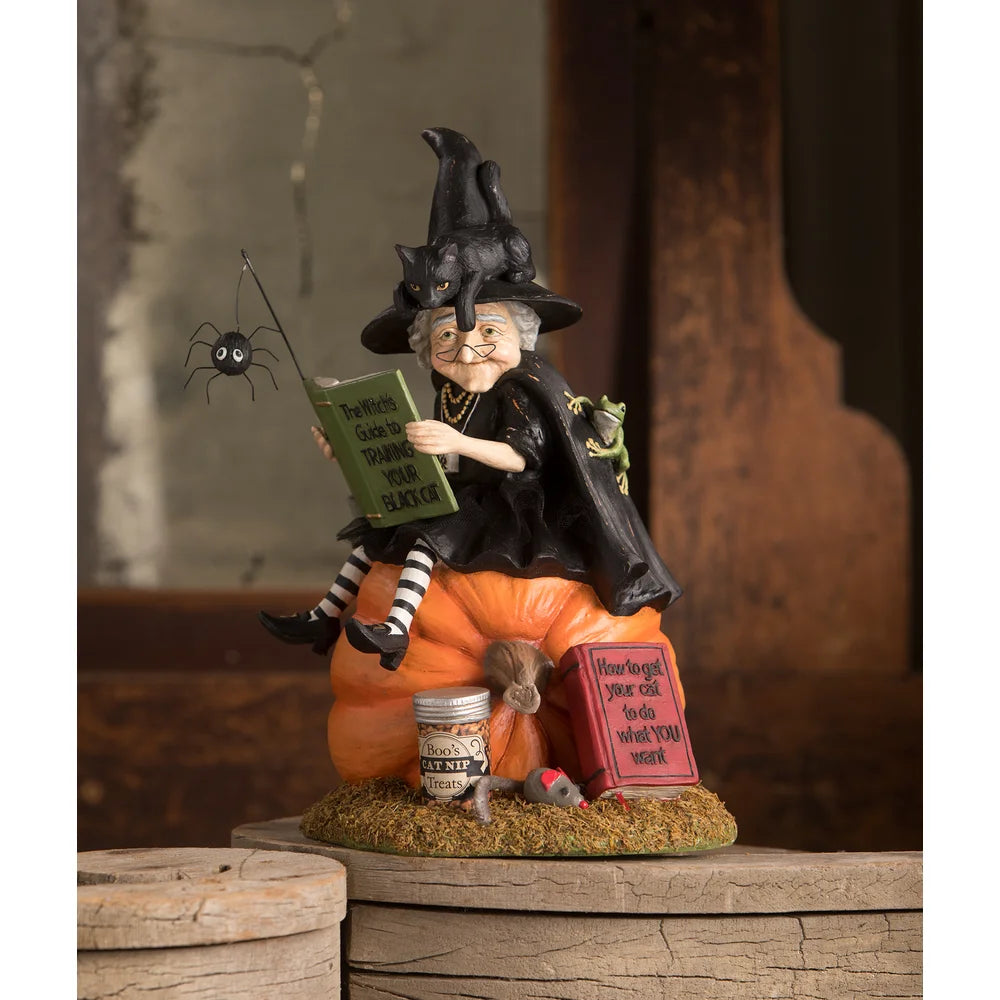 Bethany Lowe Designs Black Cat Witch Training Guide - Halloween Decor & Witchcraft Accessories for Spooky Home & Party Themes