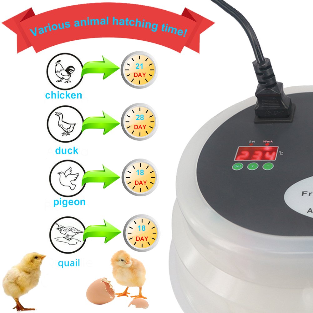 Automatic Egg Incubator for Hatching Chicken, Duck & Bird Eggs - 12 Egg Capacity with Auto Turning & Temperature Control - Perfect for Poultry Farming, Backyard Hatchery & Educational Projects