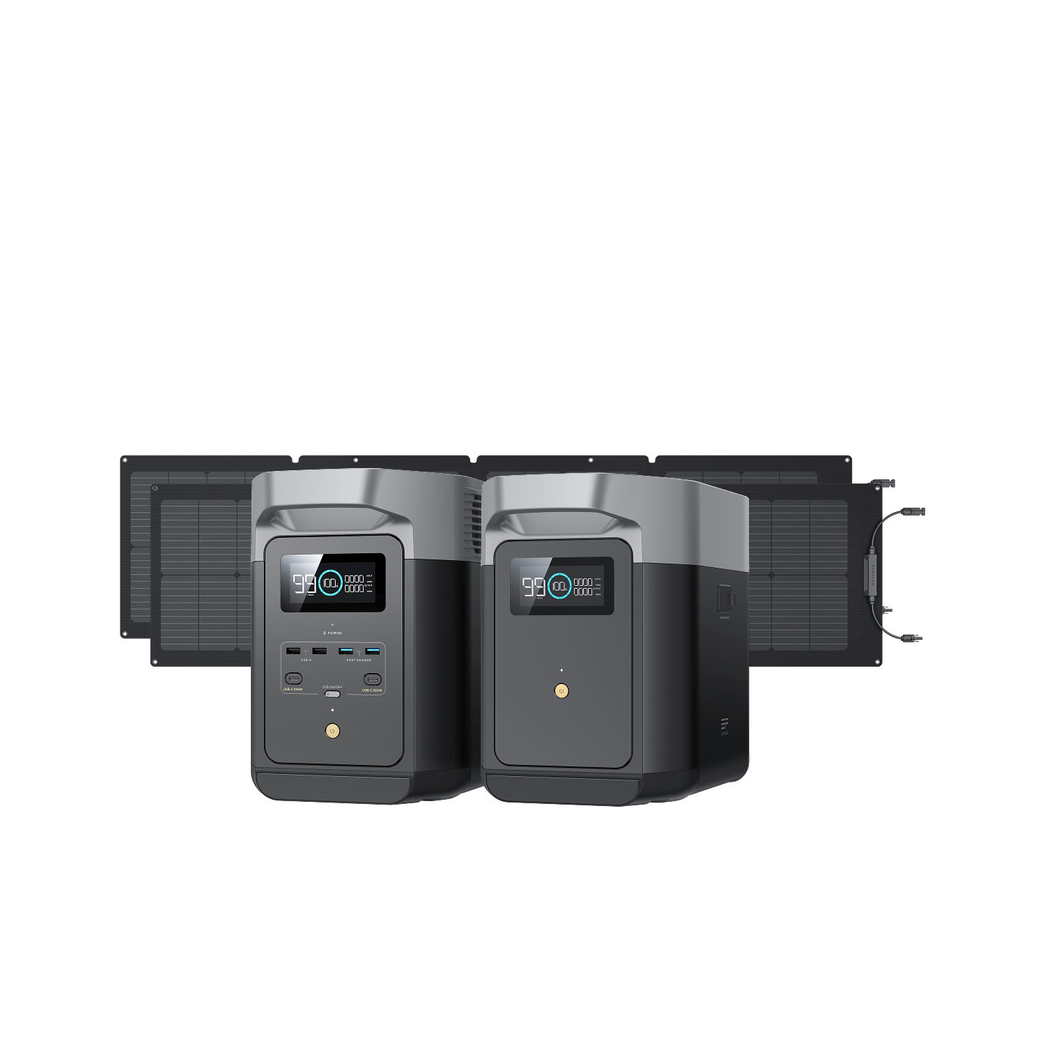 EcoFlow DELTA 2 Portable Power Station with Smart Extra Battery & 2x110W Solar Panels - Perfect for Camping, RV Trips, and Emergency Power Backup