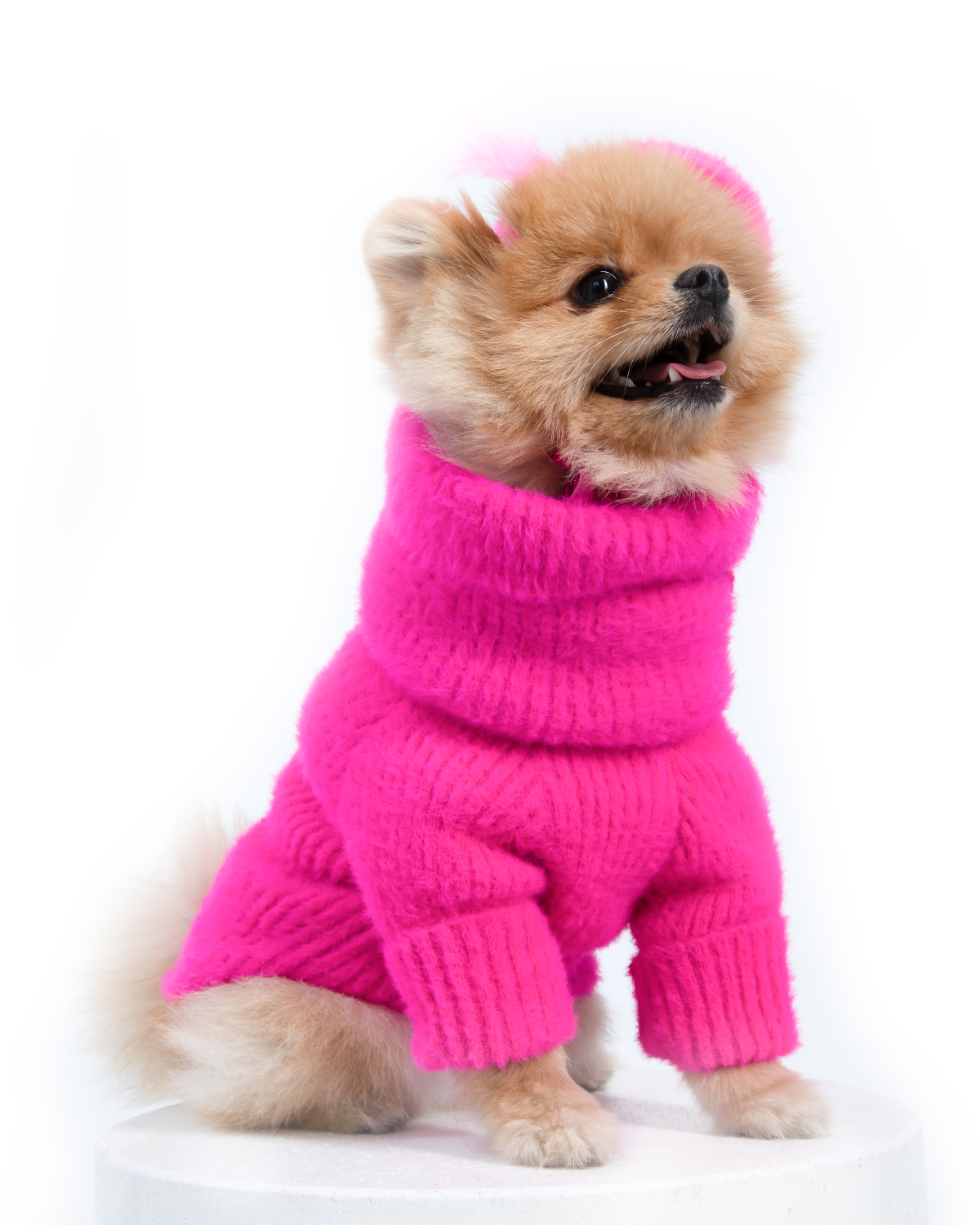 Loves It Dog Sweater & Hat - Warm Winter Outfit for Small & Large Dogs - Perfect for Cold Weather Walks & Outdoor Adventures