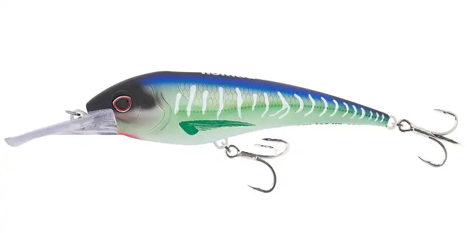 Spanish Mackerel