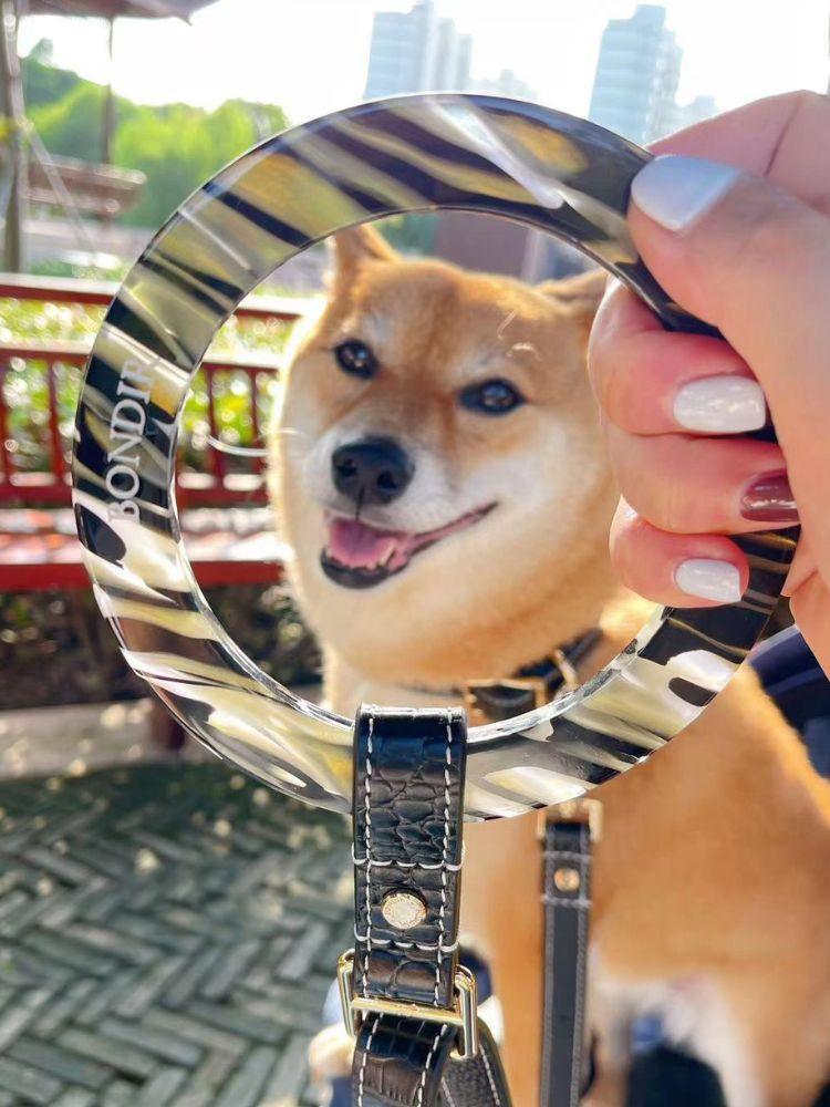 Premium Obsidian Black Leather Dog Leash - Heavy Duty, Adjustable, Reflective Stitching - Perfect for Walking, Training & Outdoor Adventures with Your Pet