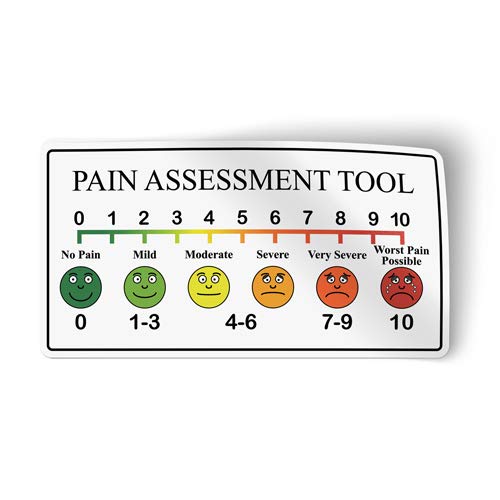 Pain Assessment Tool Scale Sticker - 14