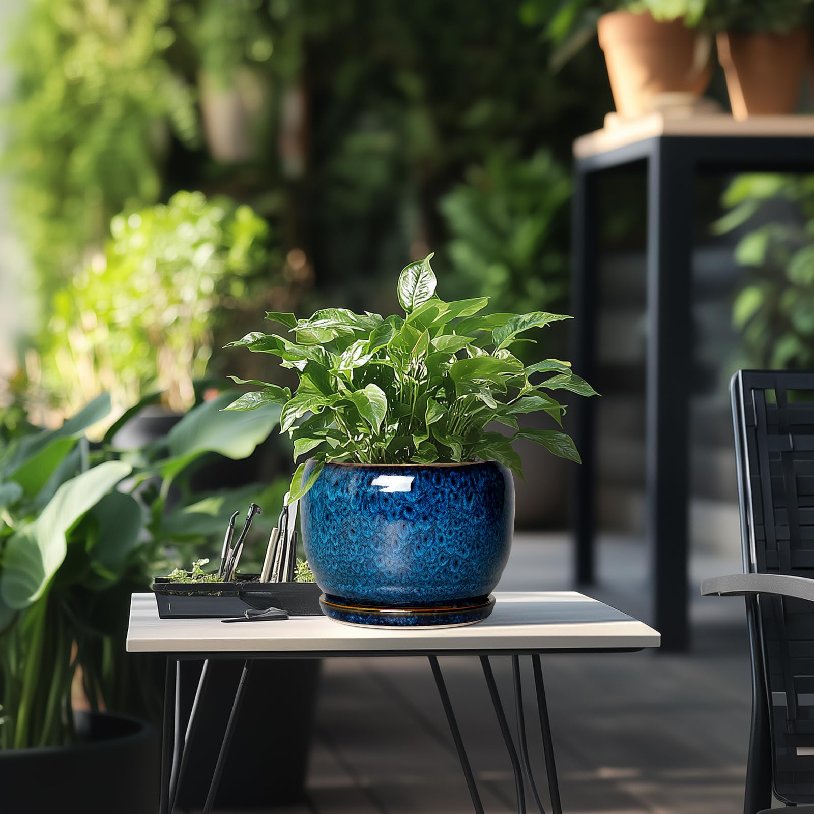 SQOWL 8 Inch Ceramic Planter with Drainage Hole & Saucer - Modern Round Glazed Blue Flower Pot for Indoor Outdoor Plants | Perfect for Home Decor, Office Desk, Garden, and Patio
