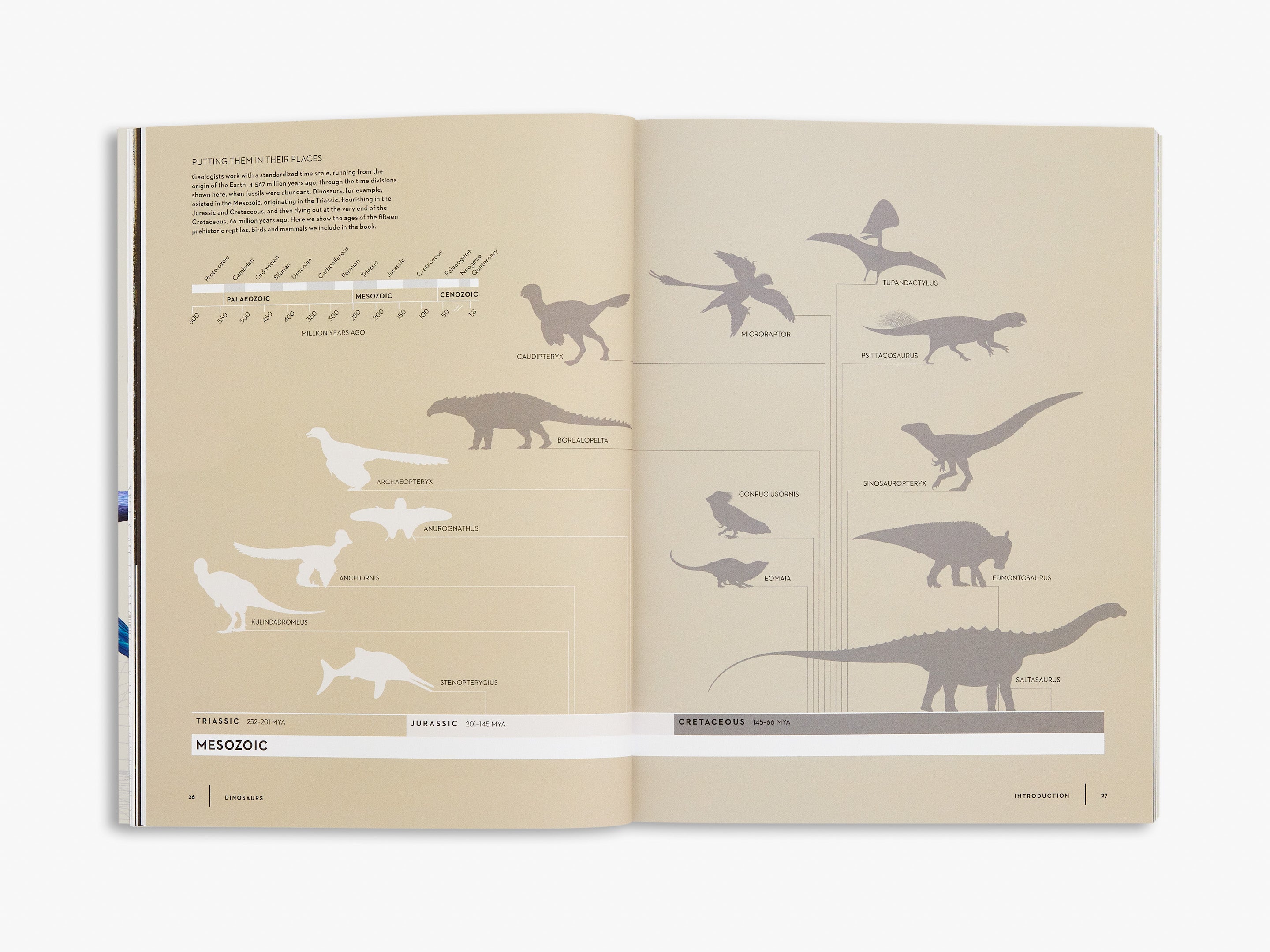 Dinosaurs Toys for Kids - Realistic Dinosaur Figures, Educational Dinosaur Playset for Boys & Girls - Perfect for Birthday Gifts, Classroom Learning, and Jurassic-Themed Playtime