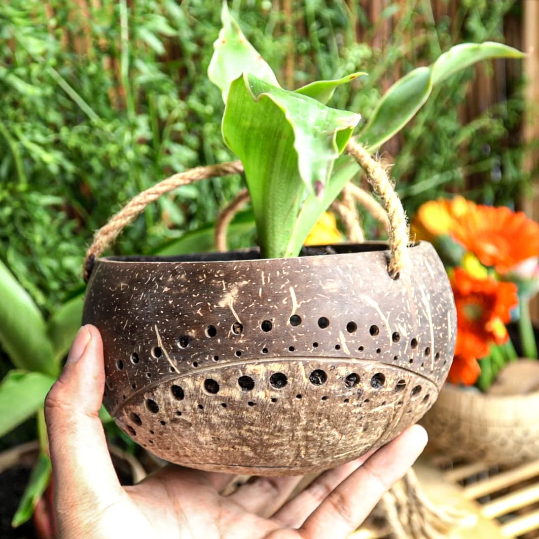 Set of 2 Handcarved Coconut Hanging Planters with Drainage Holes - Natural Two-Tone Design for Succulents, Flowers & Small Plants - Eco-Friendly Indoor/Outdoor Garden Decor - Perfect for Balcony, Patio and Home Décor