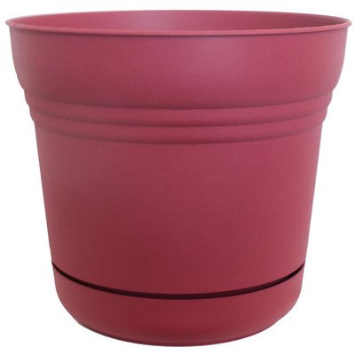 Union Red Round Flower Pot Planter - 6.5